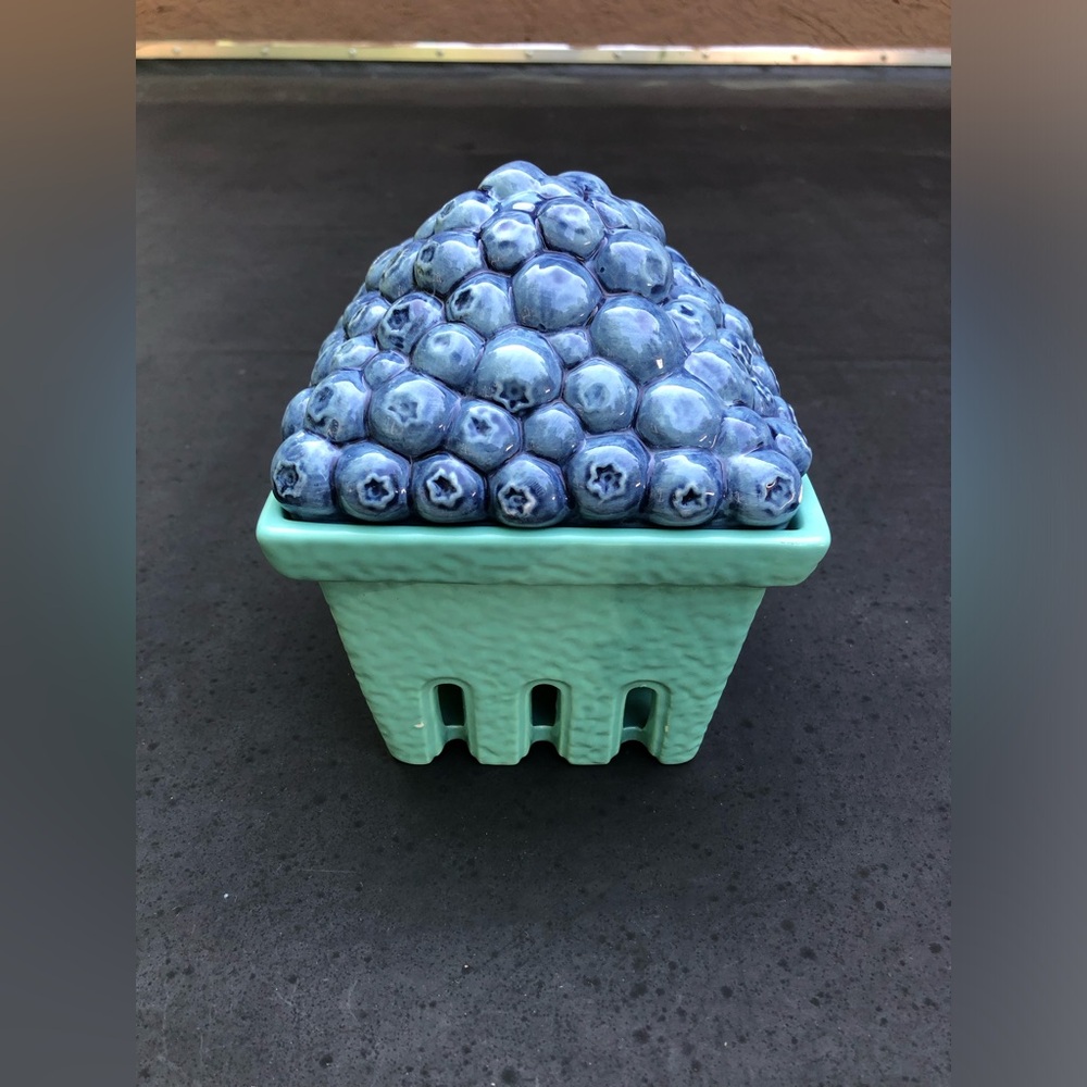 Blueberry Container - Picture 2 of 6